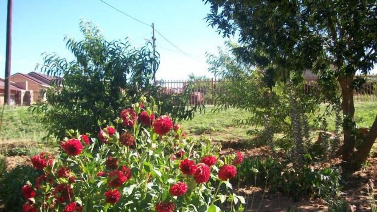 Photo of Outdoor in Sterkspruit