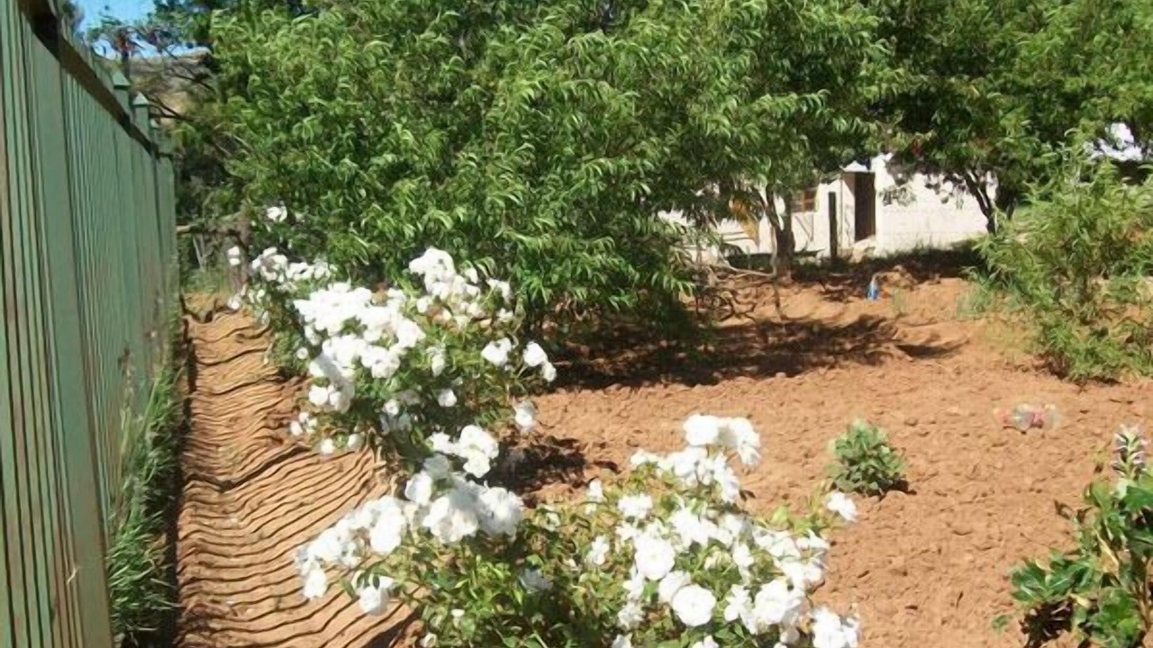 Photo of Outdoor in Sterkspruit