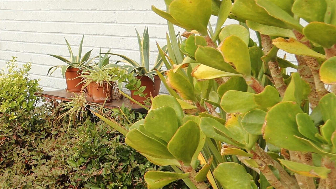Photo of Outdoor in Colesberg