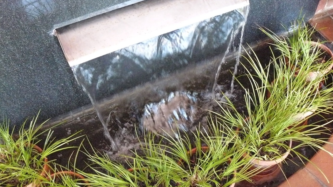 Photo of Outdoor in Pretoria
