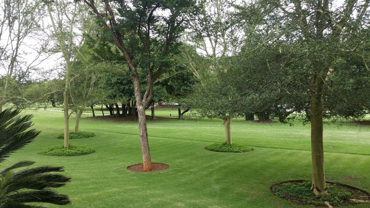 Photo of Others in Pretoria