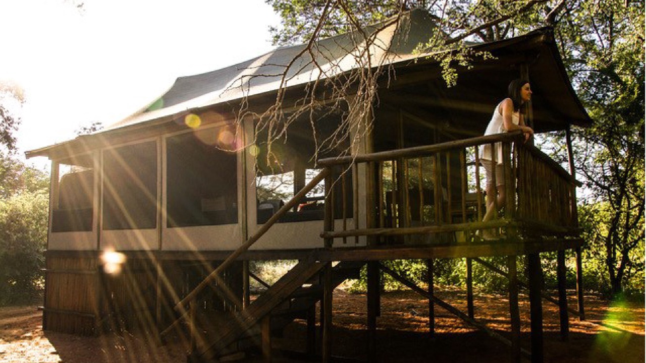 Photo of Outdoor in Vivo