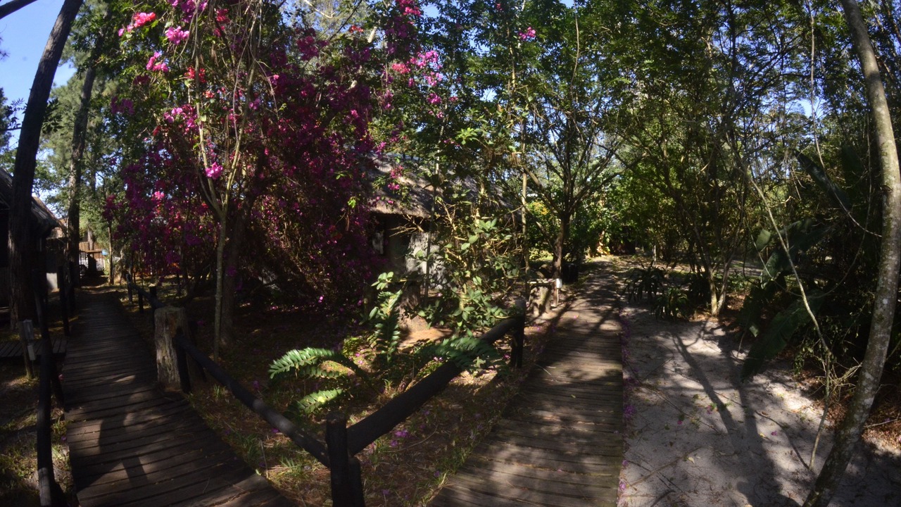 Photo of Outdoor in Mbazwana