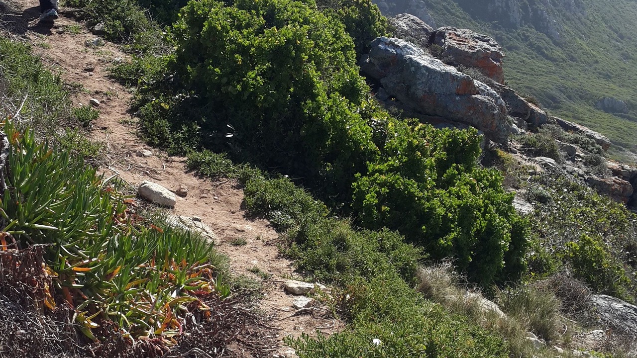 Photo of Outdoor in Pinnacle Point