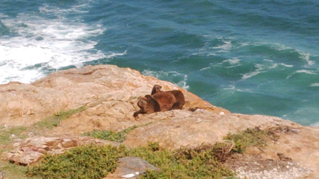 Photo of Outdoor in Pinnacle Point