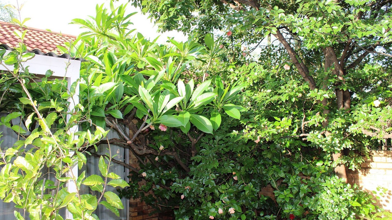 Photo of Outdoor in Klerksdorp