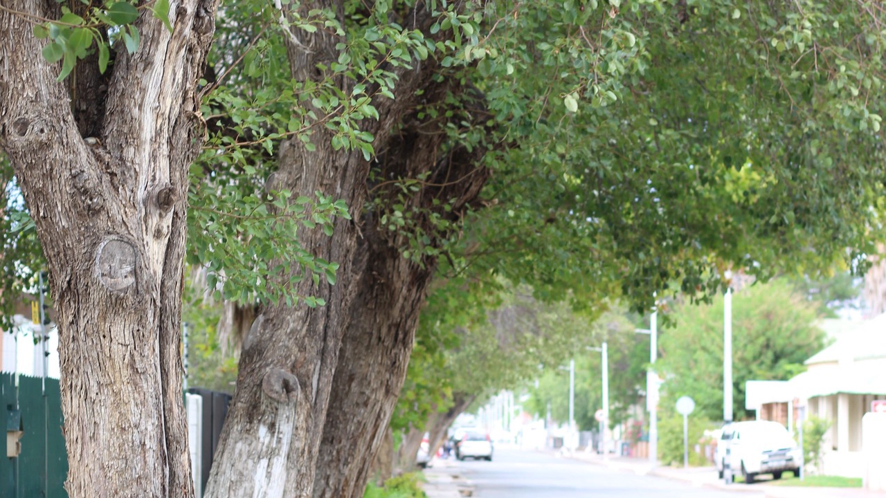 Photo of Outdoor in Beaufort West