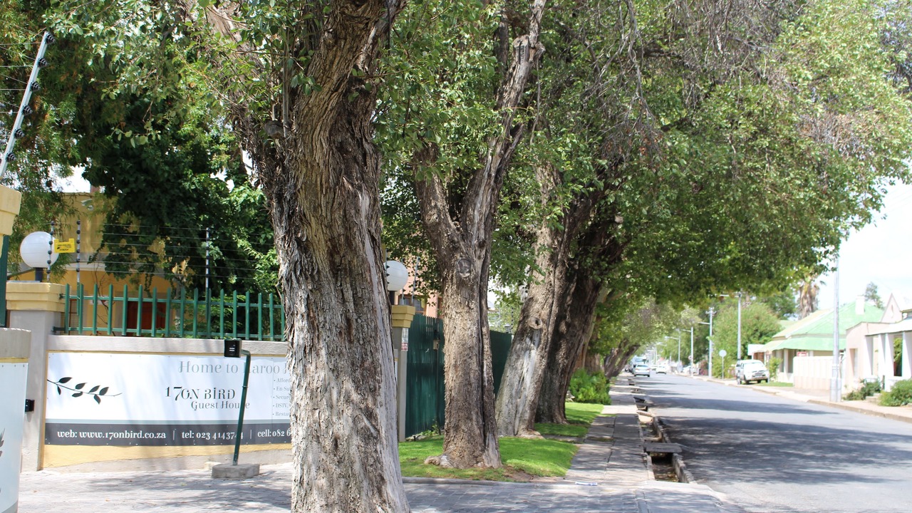 Photo of Outdoor in Beaufort West