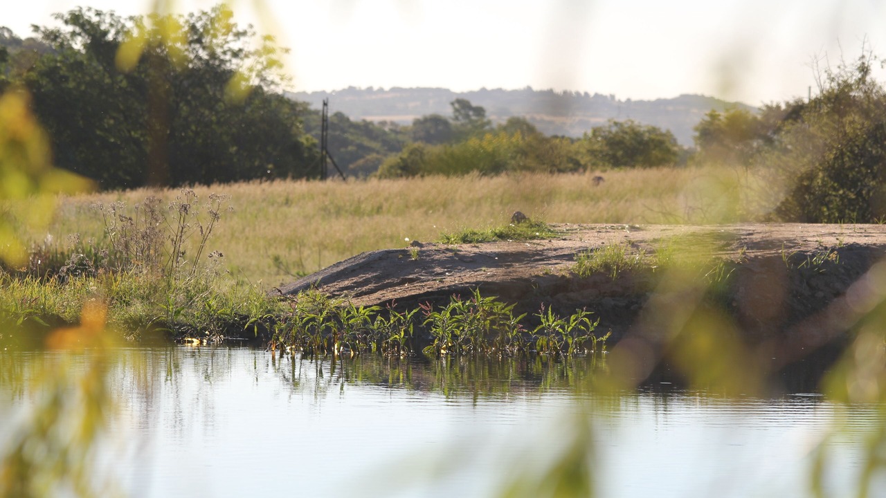 Photo of Outdoor in Greater Johannesburg Metropolitan Area