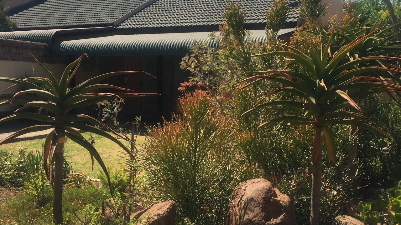 Photo of Outdoor in Greater Johannesburg Metropolitan Area