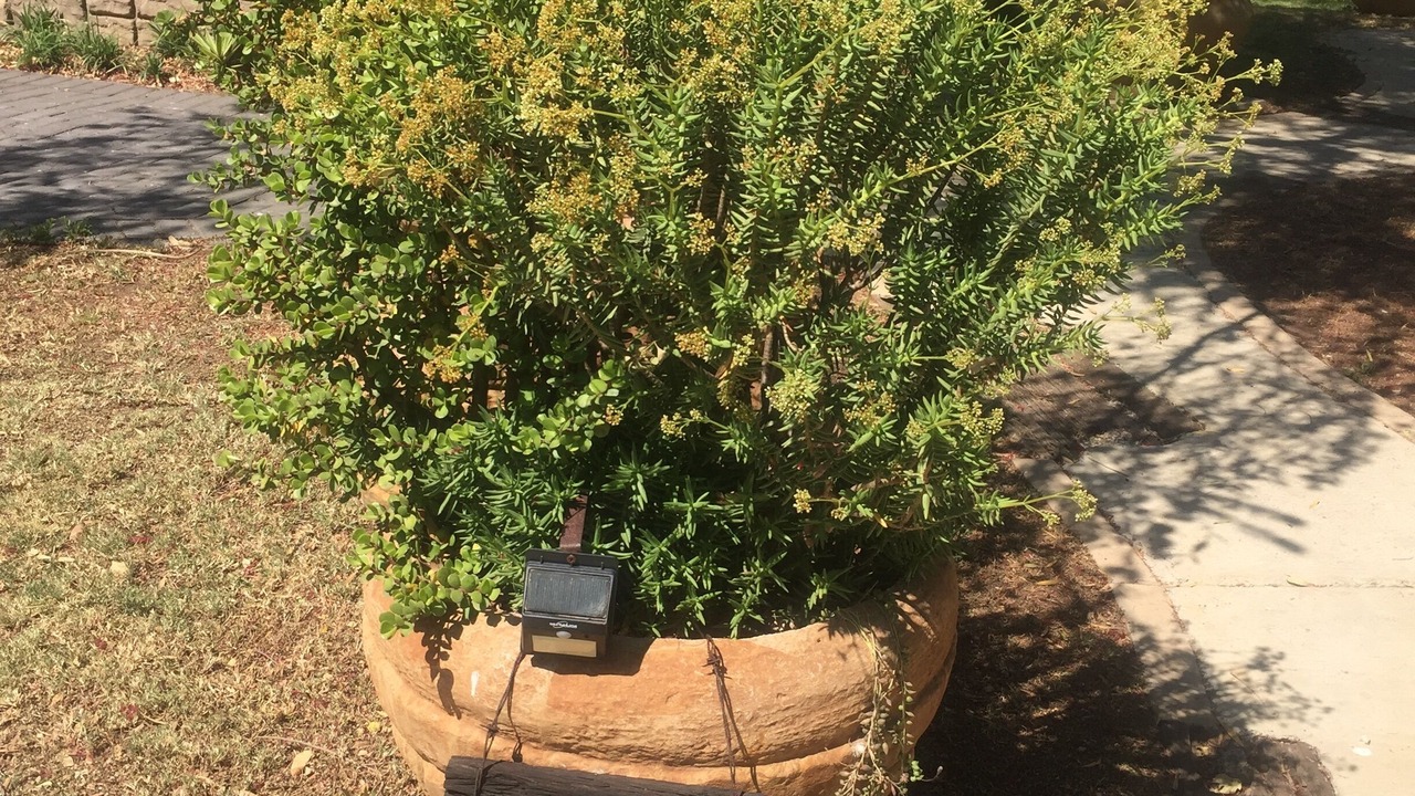 Photo of Outdoor in Greater Johannesburg Metropolitan Area