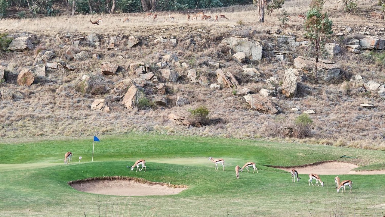 Photo of Others in Clarens