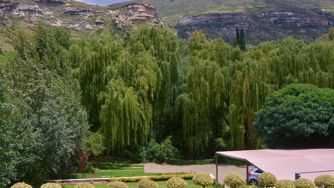 Photo of Outdoor in Clarens