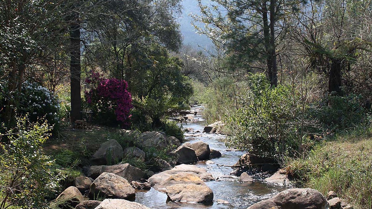 Photo of Others in Sabie