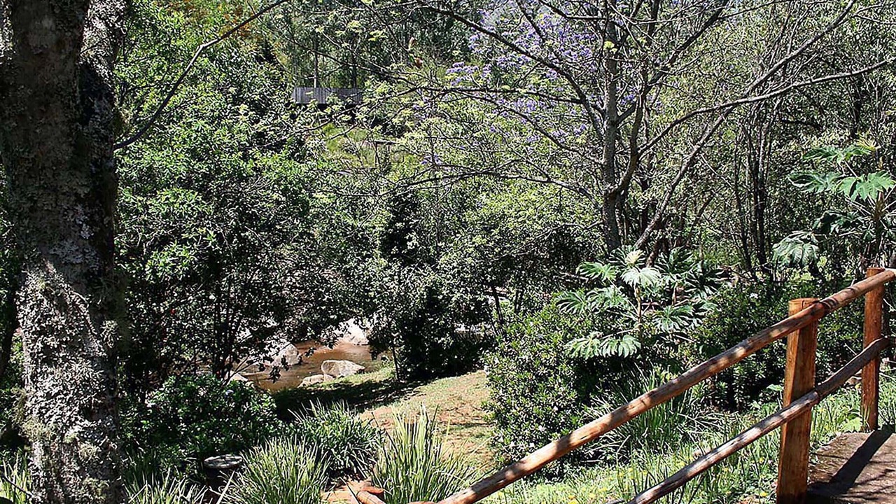 Photo of Outdoor in Sabie