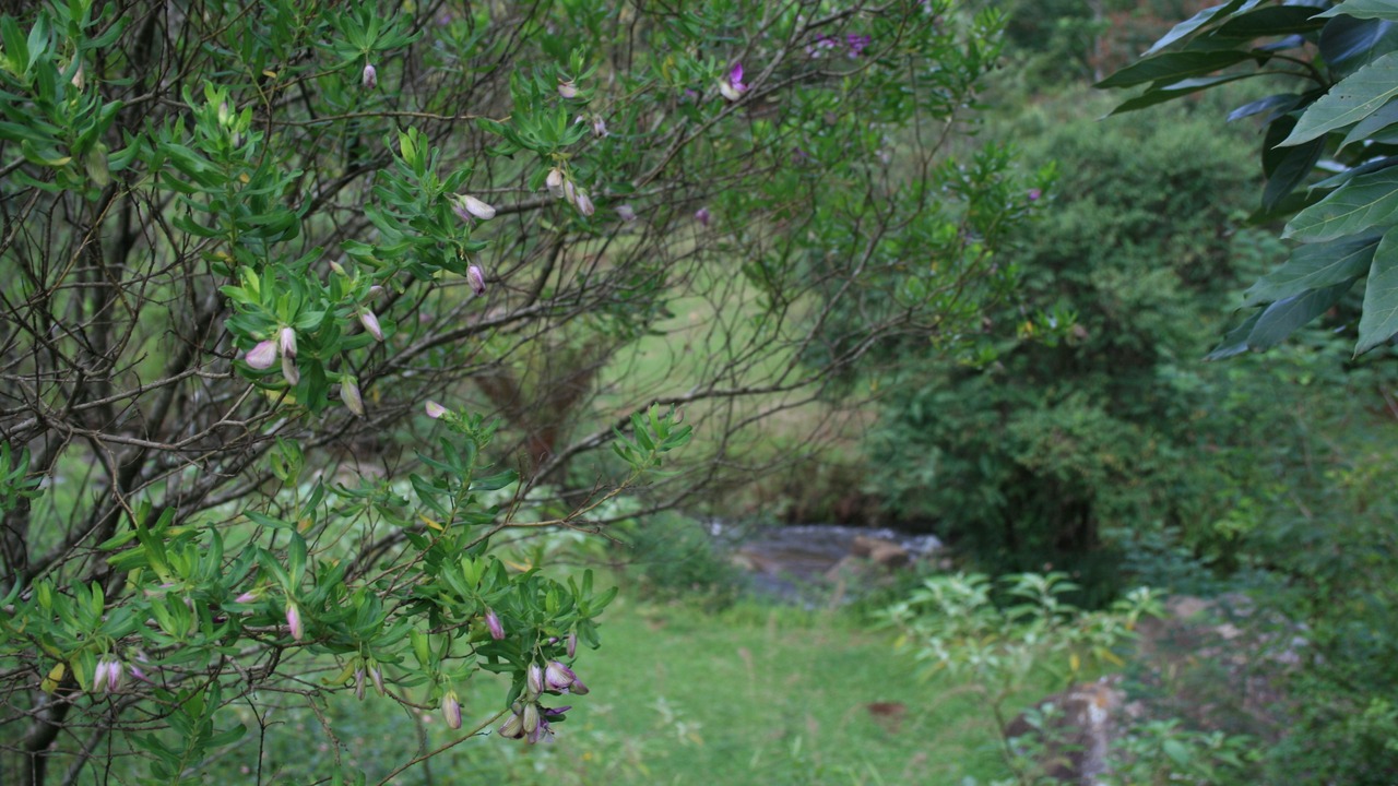 Photo of Outdoor in Sabie