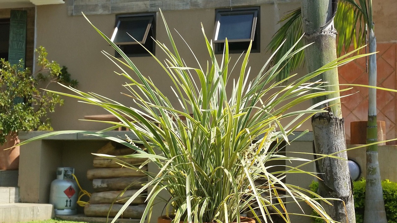 Photo of Outdoor in Ligfontein