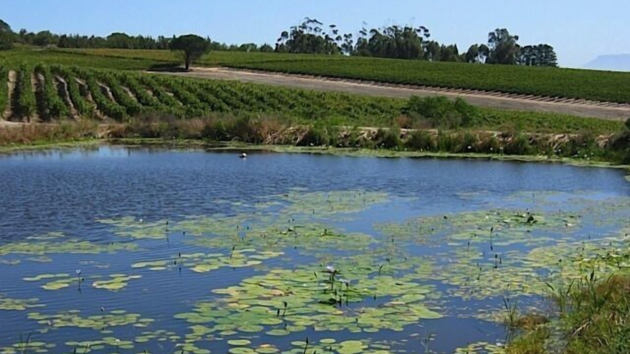 Photo of Outdoor in Trawal
