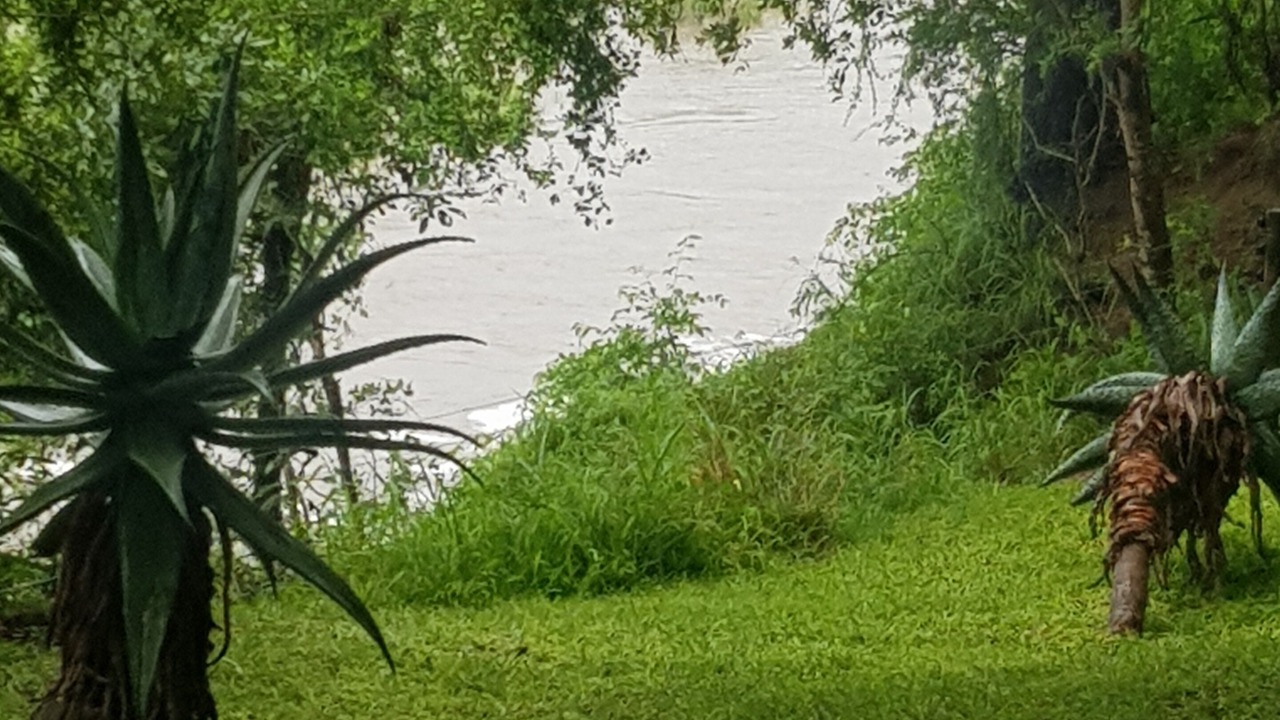 Photo of Outdoor in Kruger National Park
