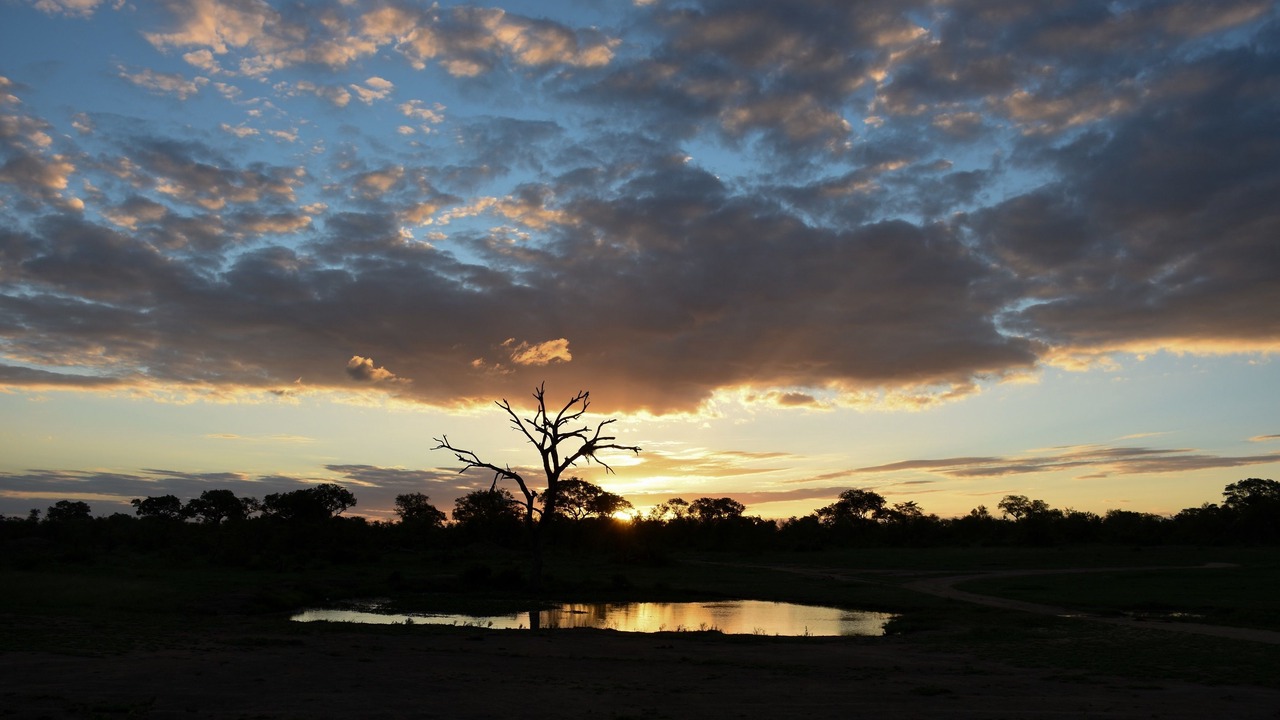 Photo of Others in Kruger National Park