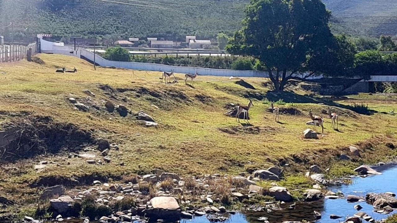 Photo of Outdoor in Kareedouw
