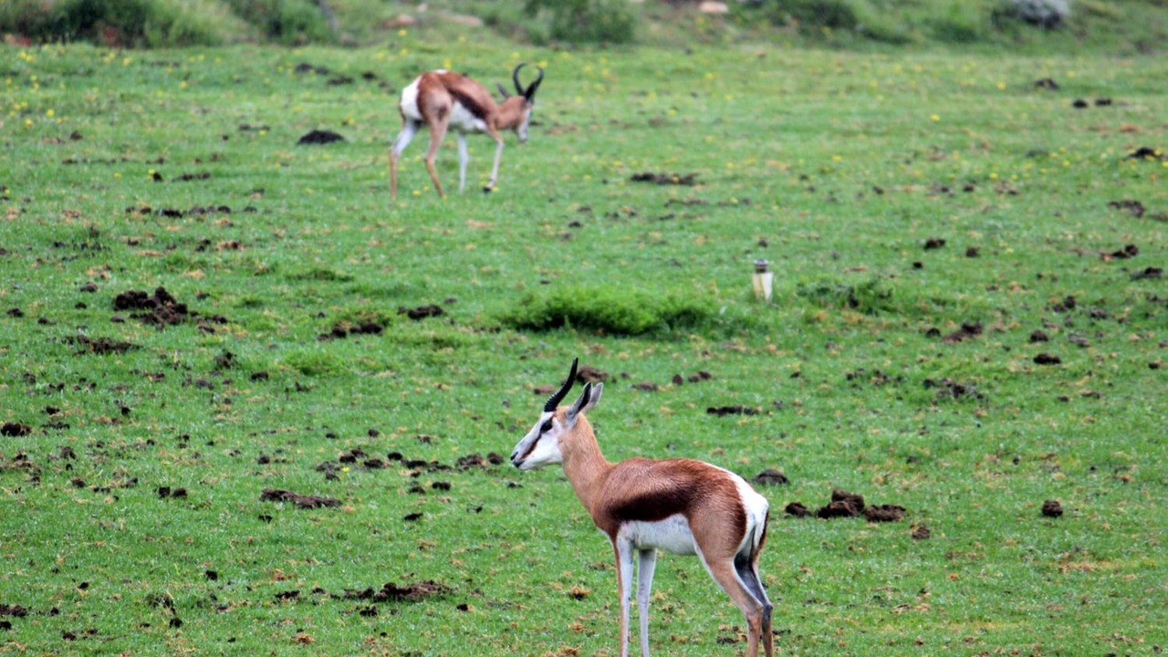 Photo of Outdoor in Kareedouw