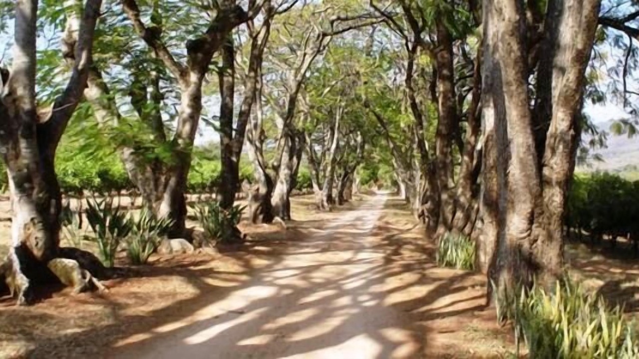 Photo of Outdoor in Hazyview