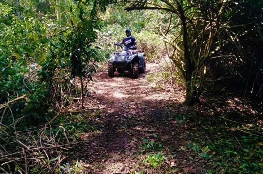 Photo of Outdoor in Hazyview