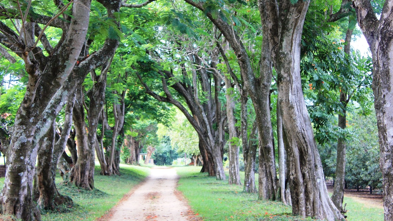 Photo of Outdoor in Hazyview