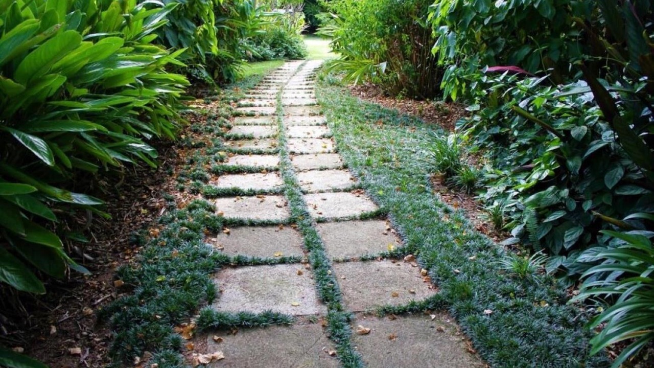 Photo of Outdoor in Hazyview