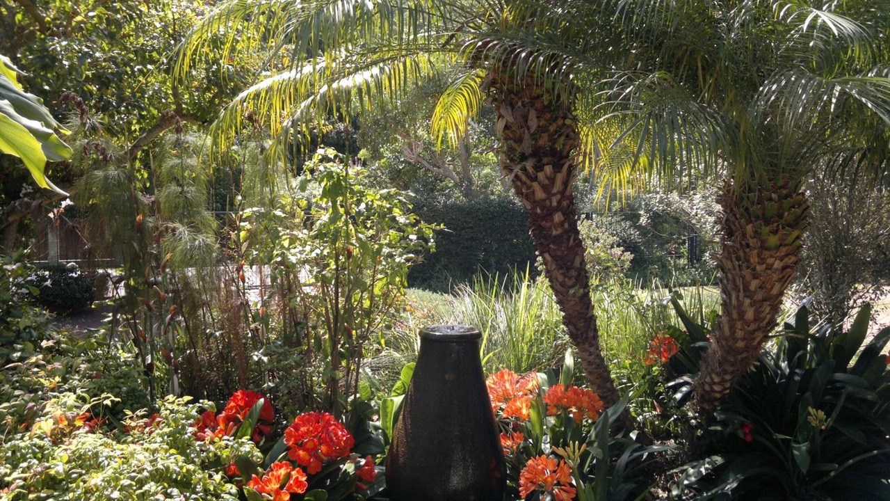 Photo of Outdoor in Wilderness