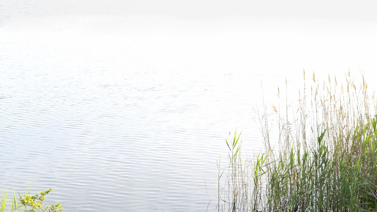 Photo of Outdoor in Wilderness