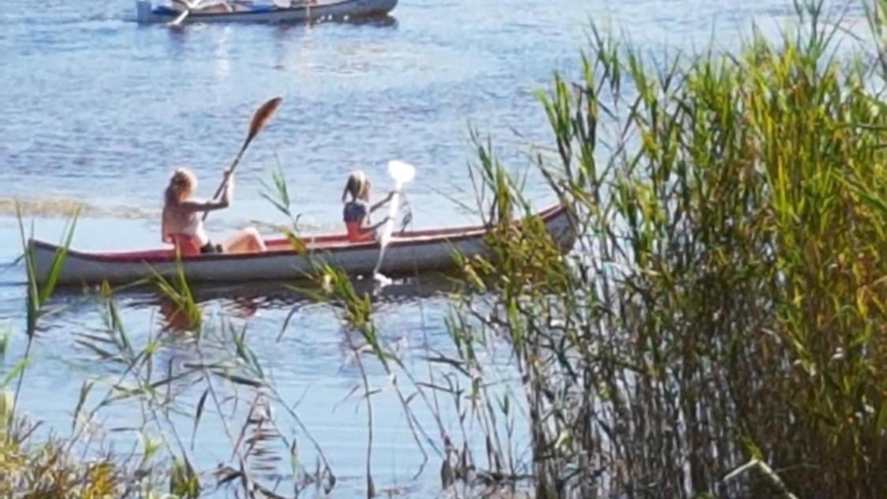 Photo of Others in Wilderness