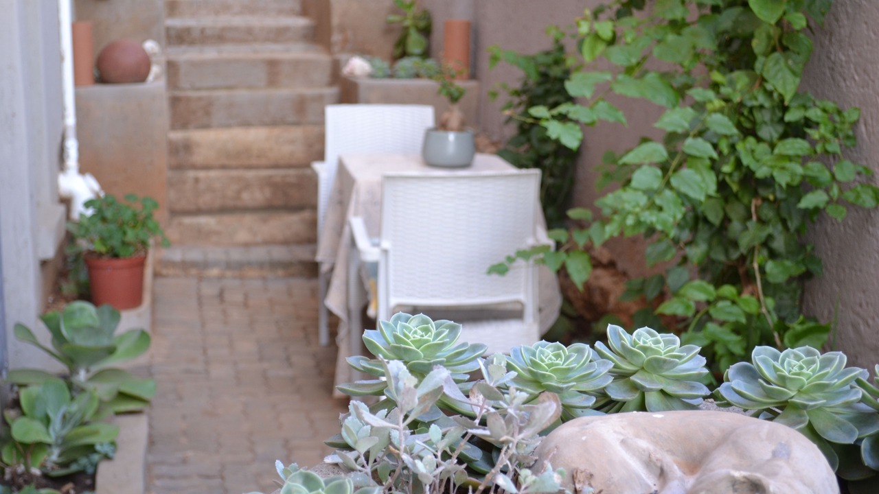 Photo of Outdoor in Pretoria