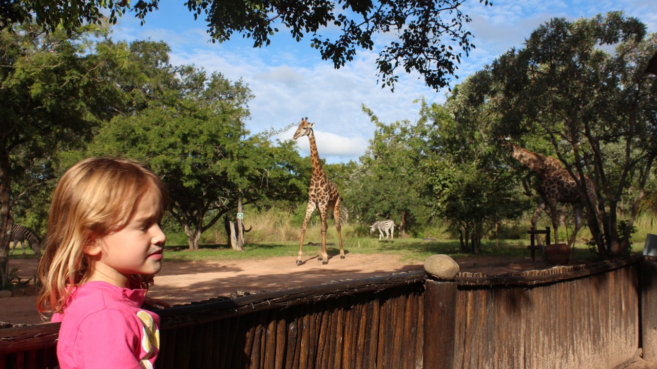 Photo of Others in Thorny Bush Game Reserve