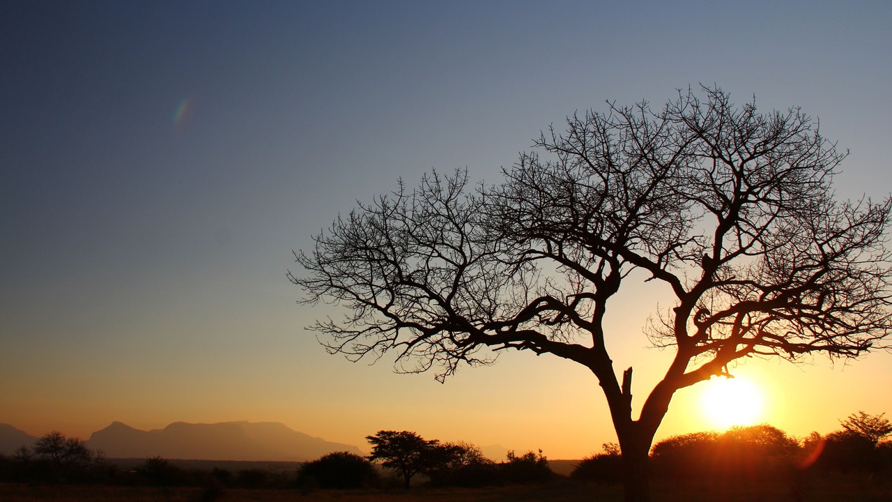 Photo of Others in Thorny Bush Game Reserve