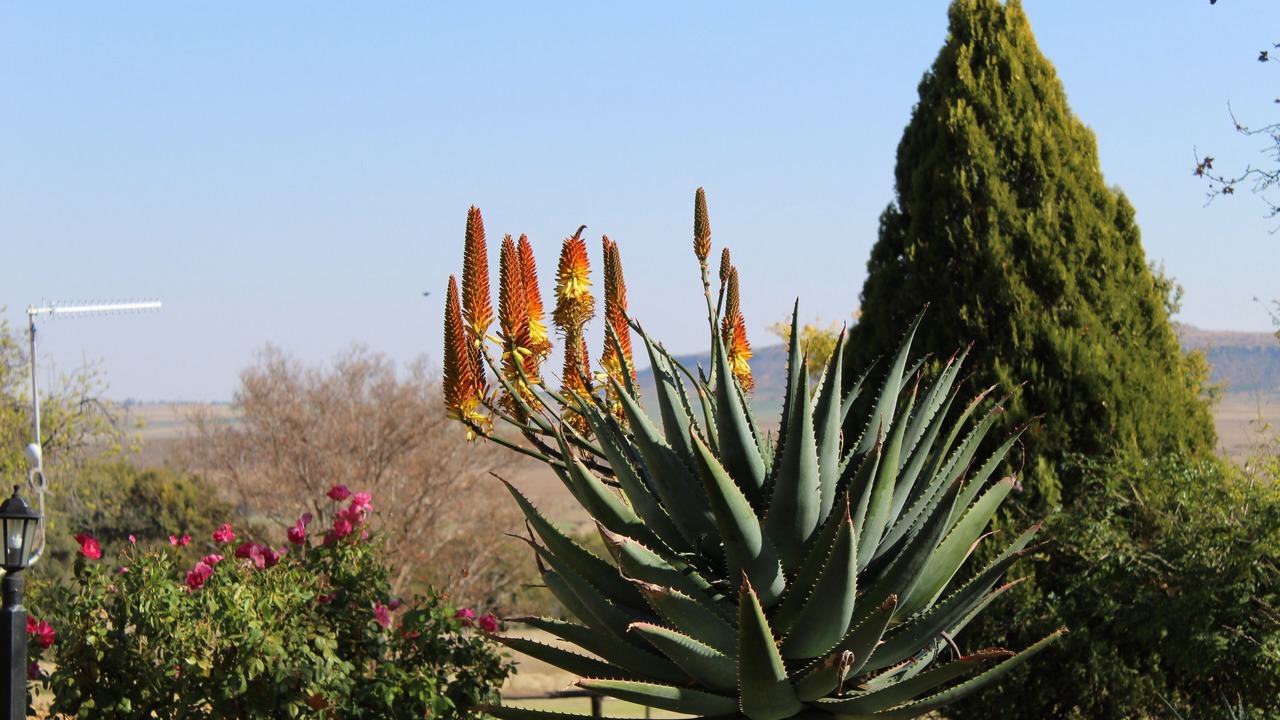 Photo of Outdoor in Ficksburg