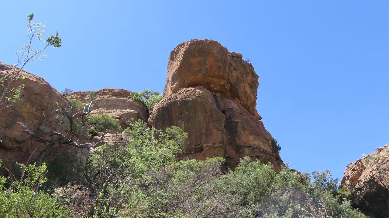 Photo of Others in Ficksburg