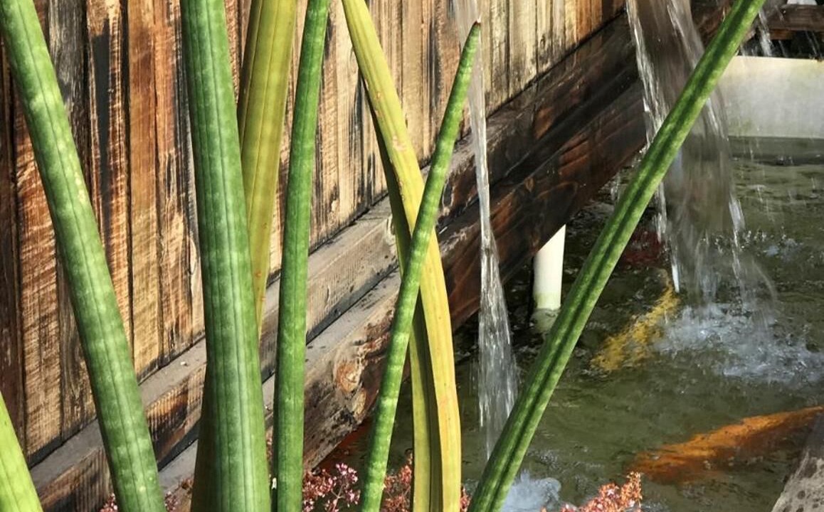 Photo of Outdoor in Umhlanga