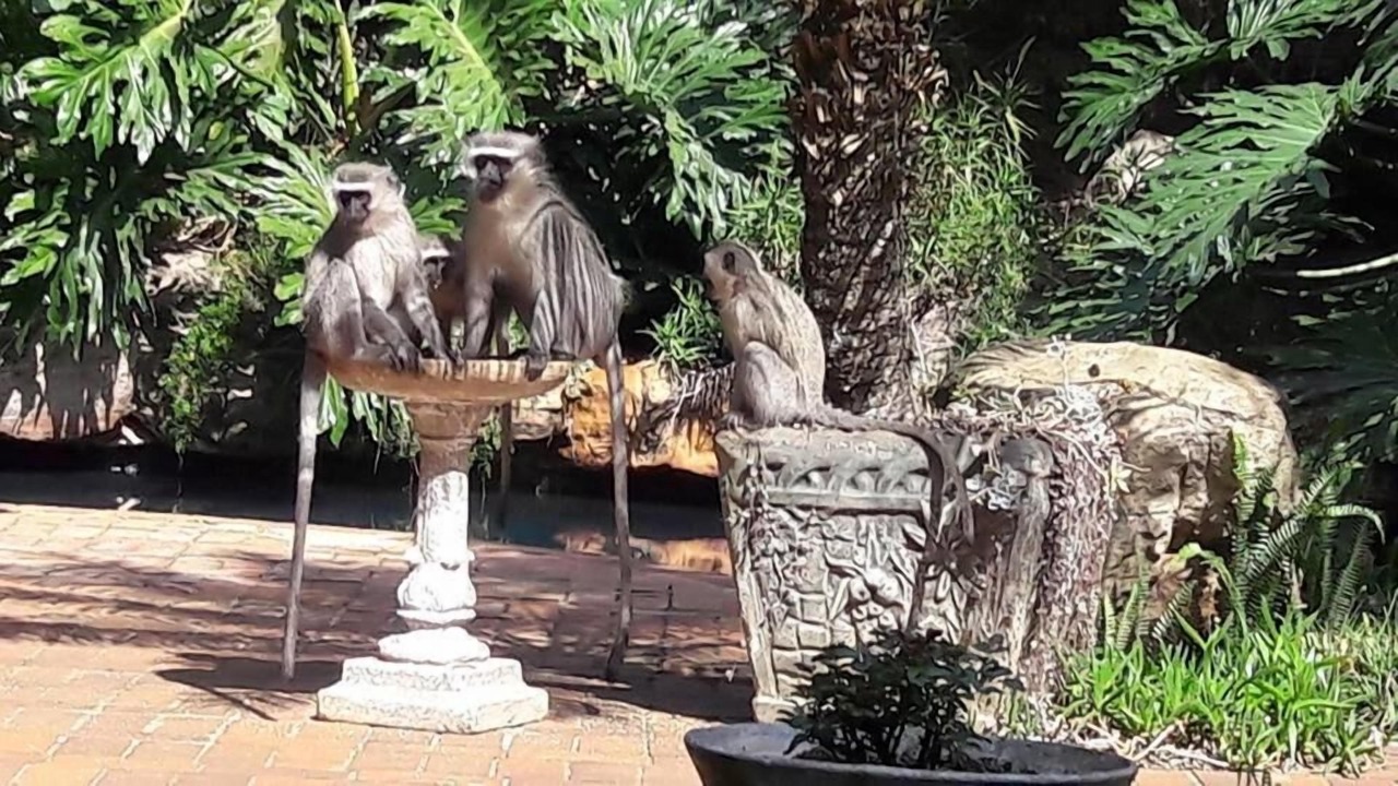 Photo of Outdoor in Hilton