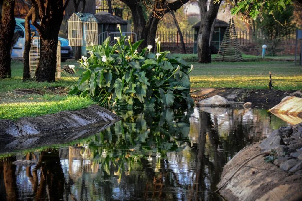 Photo of Outdoor in Thabazimbi