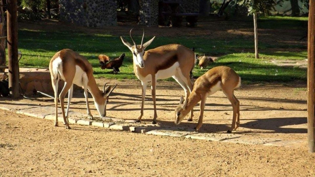 Photo of Outdoor in Klawer