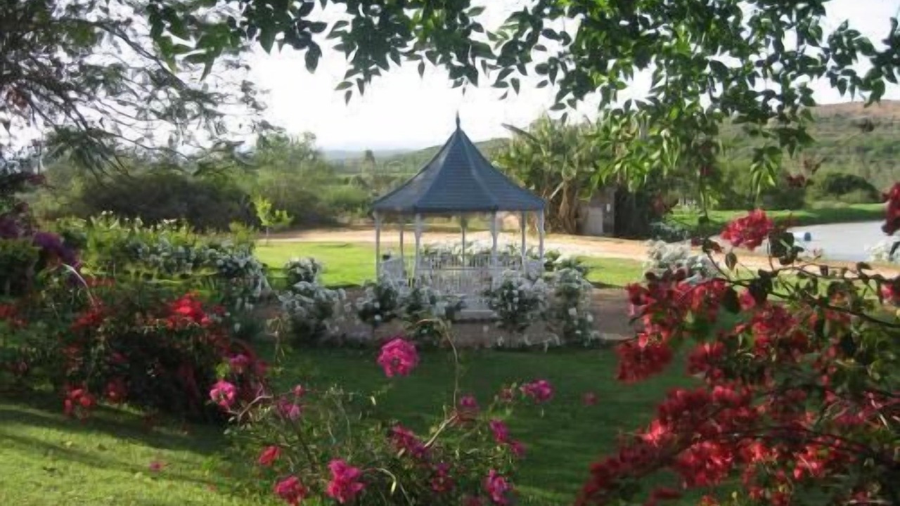 Photo of Outdoor in Addo