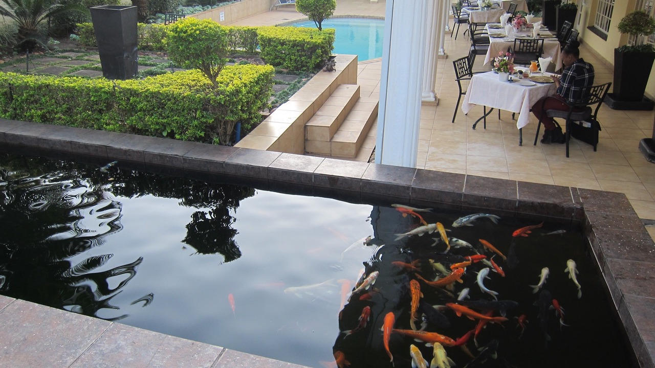 Photo of Outdoor in Tzaneen