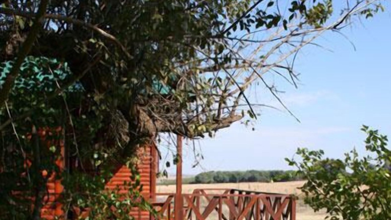 Photo of Patio Balcony in Maanhaarand