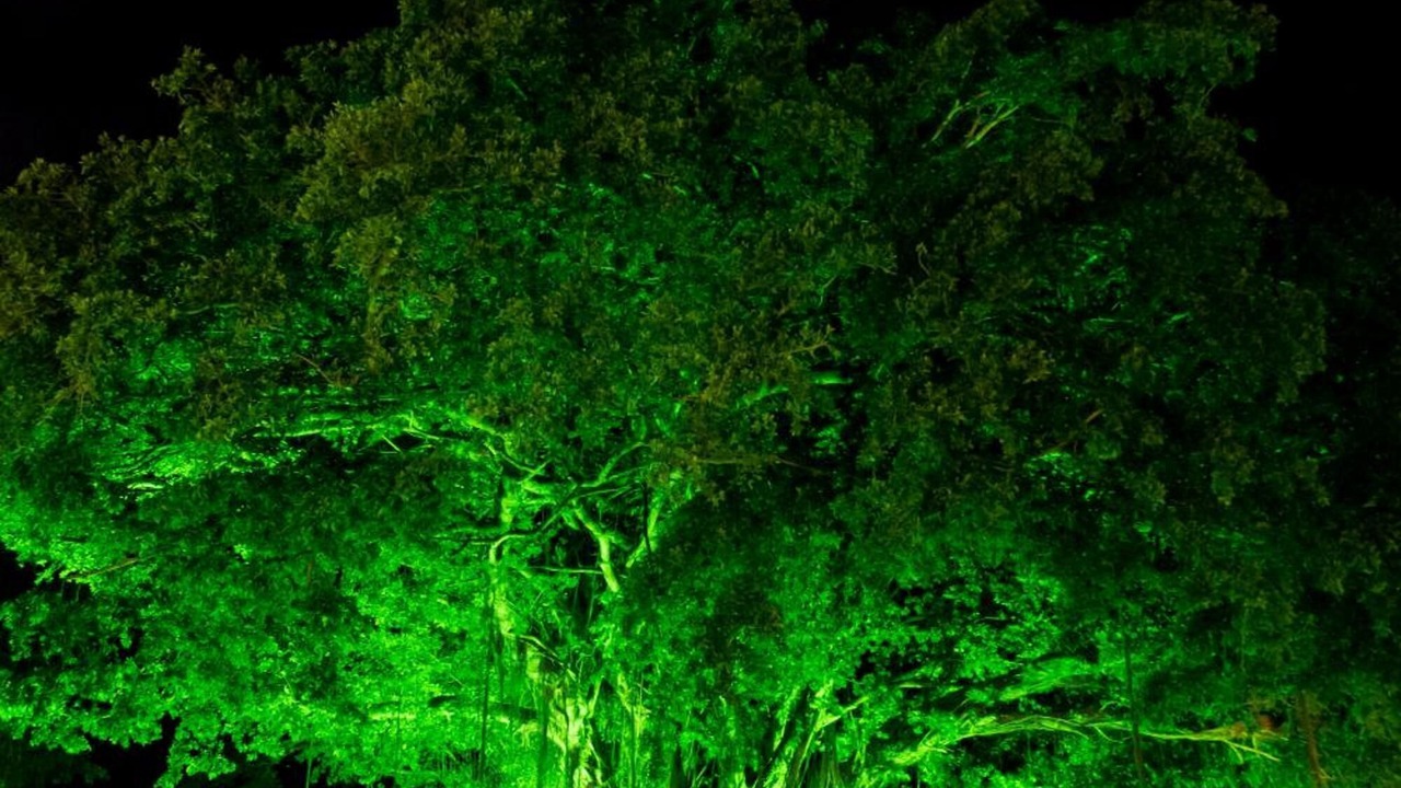 Photo of Outdoor in Addo