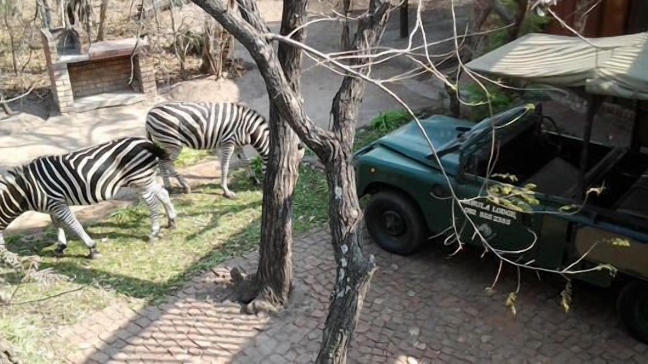 Photo of Others in Marloth Park