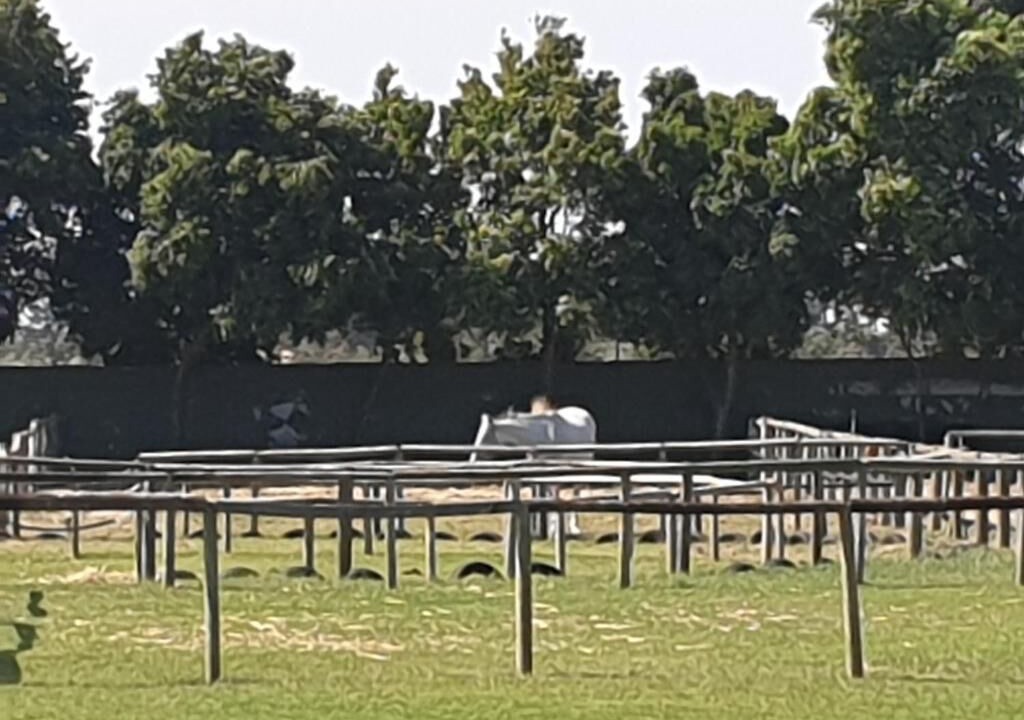 Photo of Outdoor in Kraaifontein