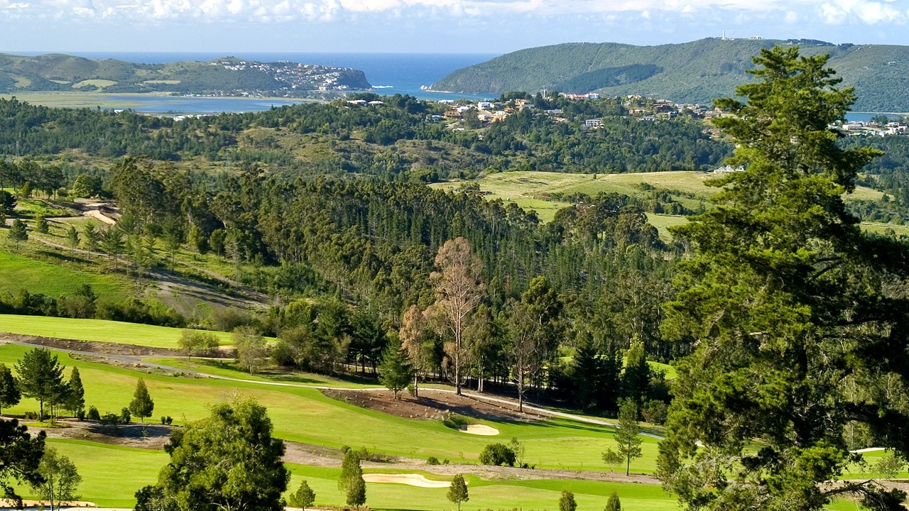 Photo of Others in Knysna