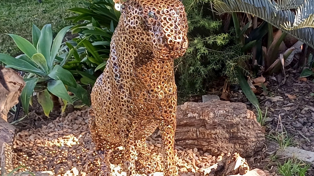 Photo of Outdoor in Robertson